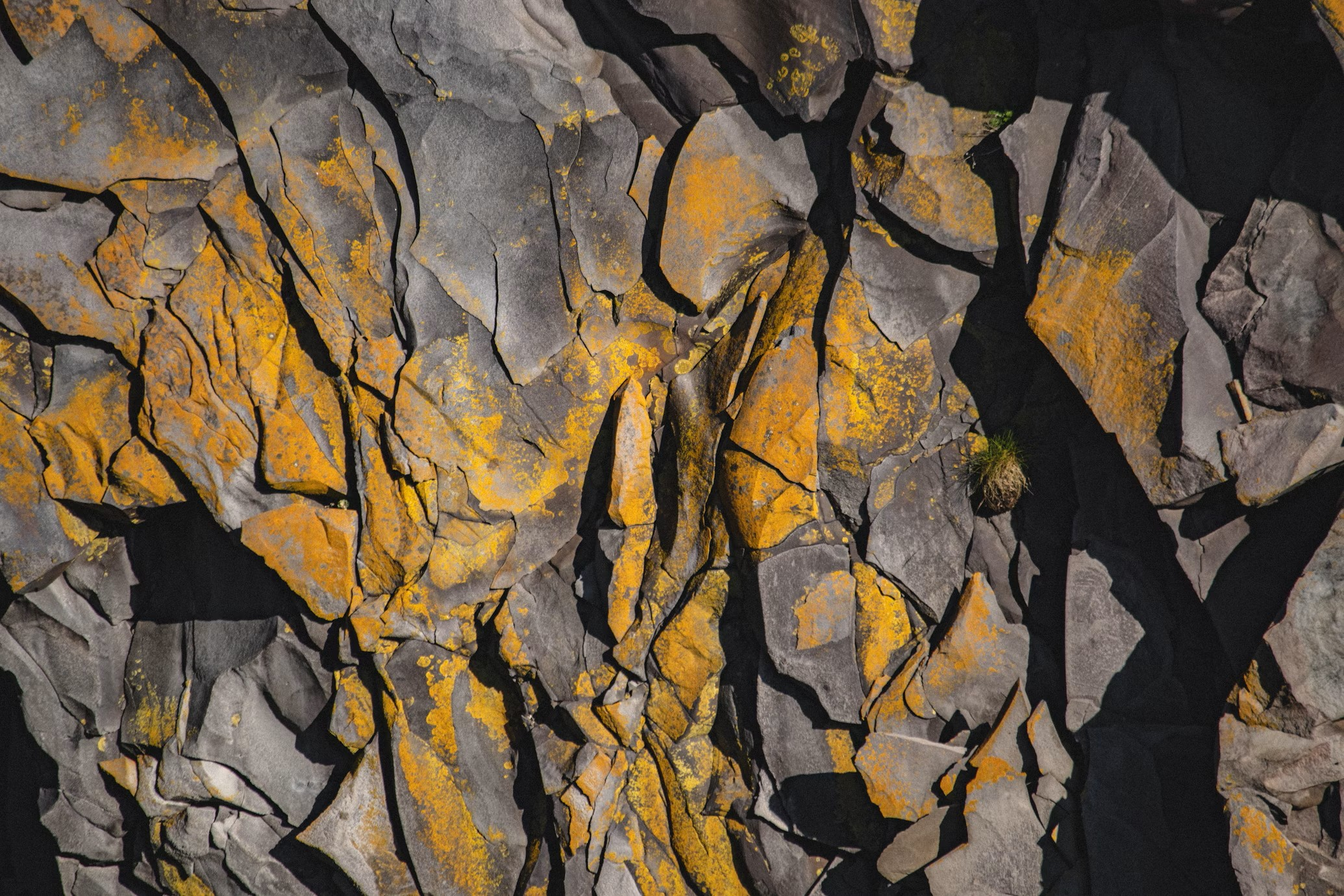 Mines Image 1